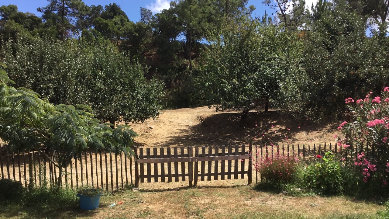 Photo of Outdoor in Cercal