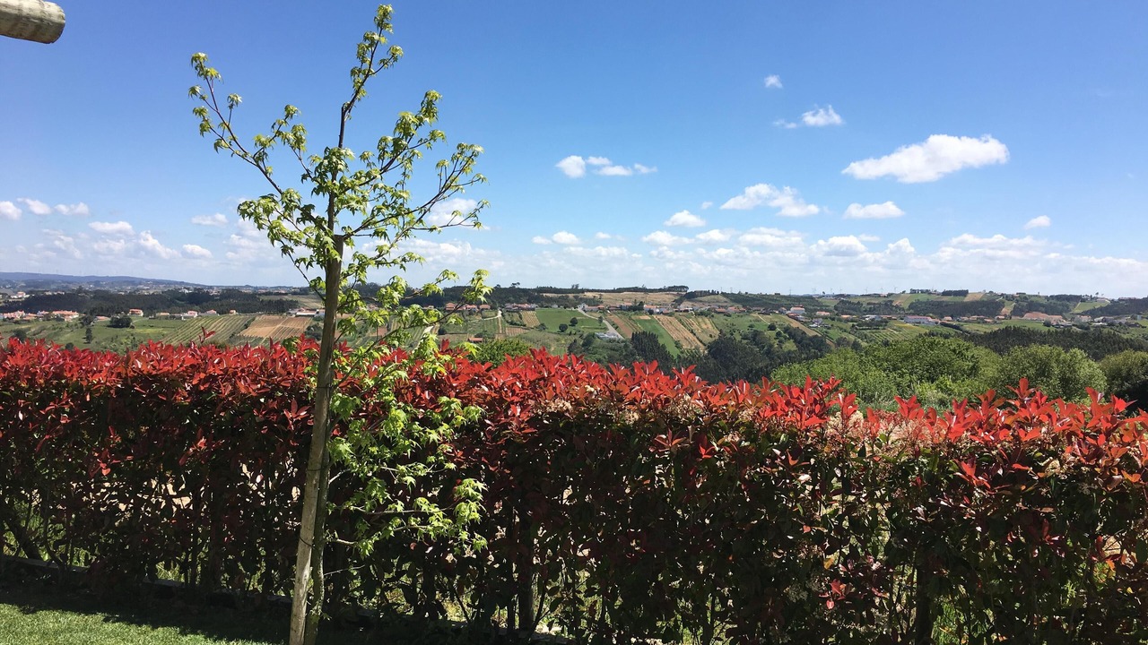Photo of Outdoor in Obidos