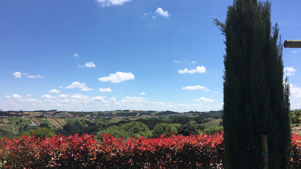 Photo of Others in Obidos