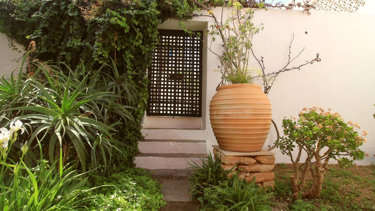 Photo of Outdoor in Tavira