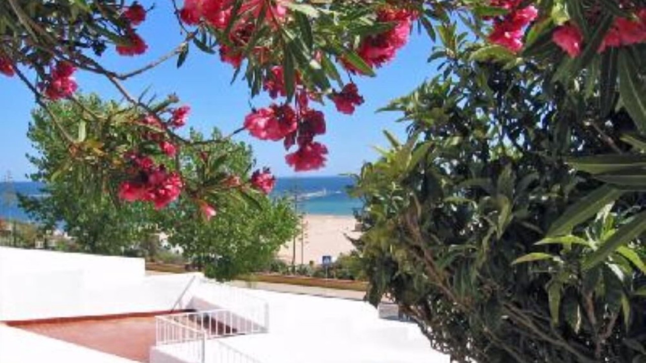 Photo of Outdoor in Praia da Rocha