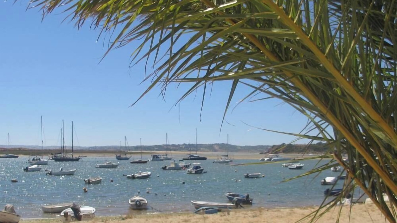 Photo of Others in Alvor