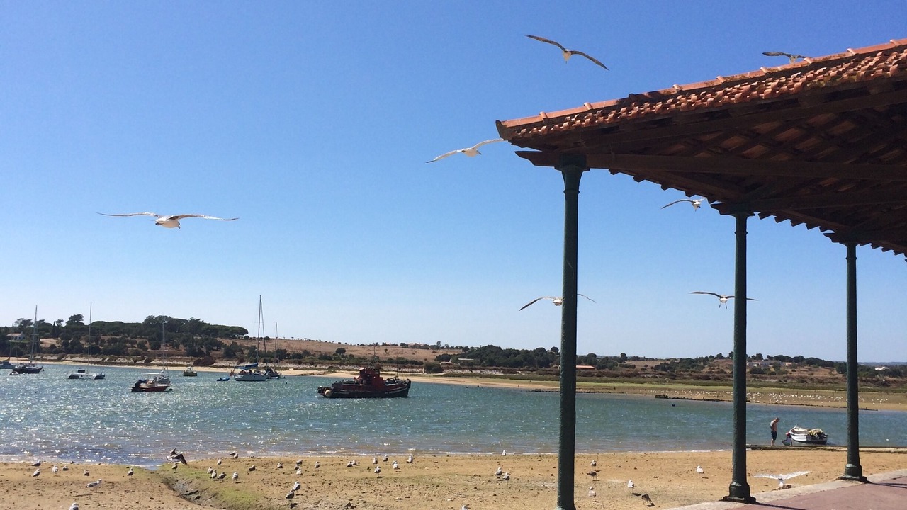 Photo of Others in Alvor