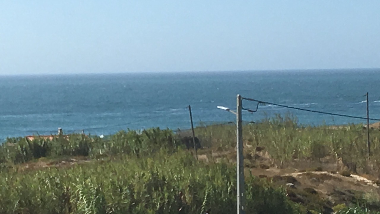 Photo of Others in Baleal