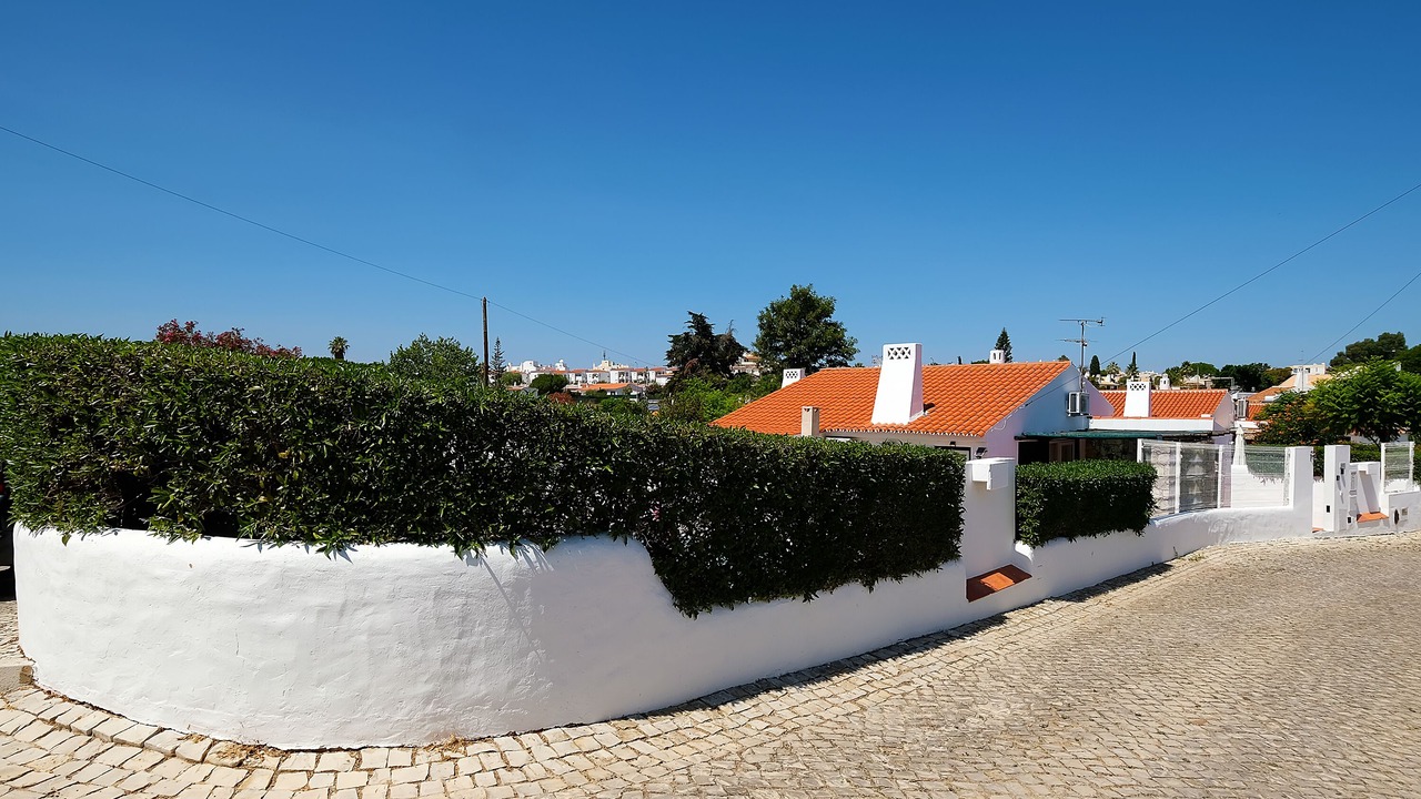 Photo of Outdoor in Areias de Sao Joao