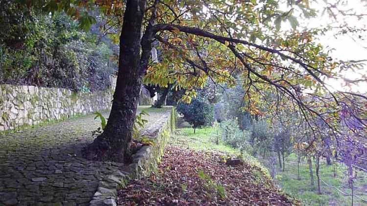 Photo of Others in Sever do Vouga