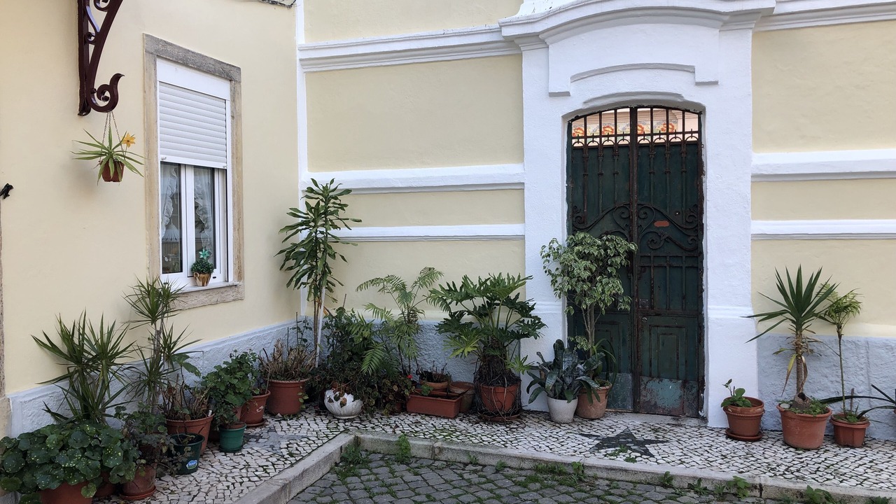 Photo of Outdoor in Alfama