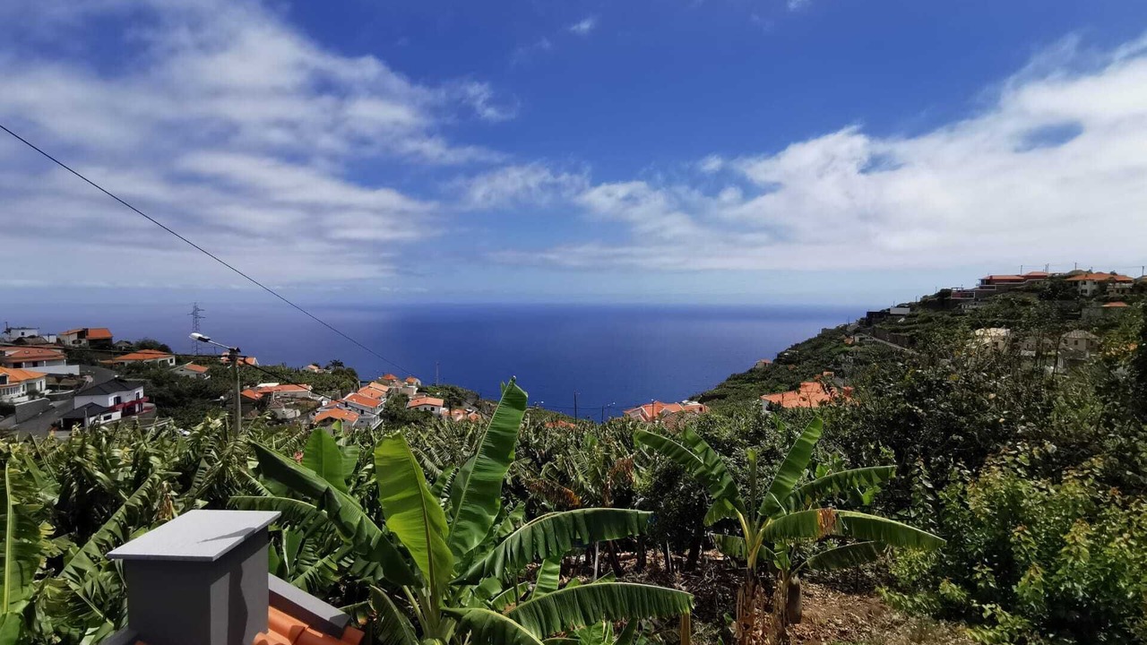 Photo of Others in Canhas