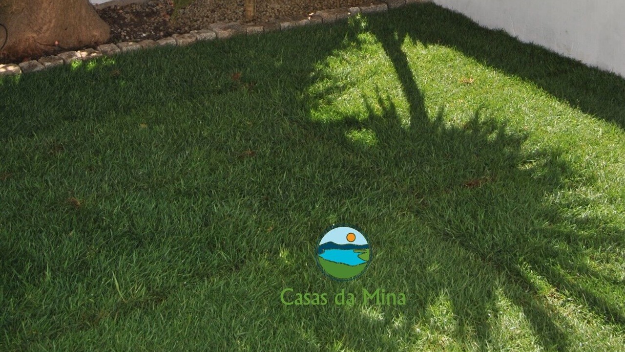 Photo of Outdoor in Minas de Sao Domingos