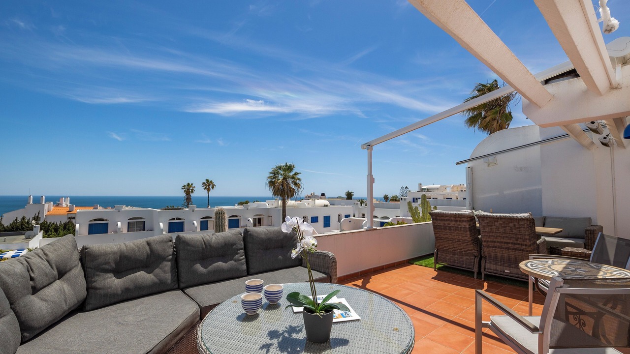 Photo of Outdoor in Calicos