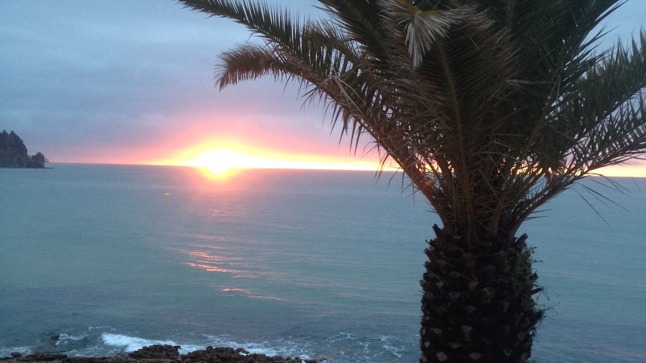 Photo of Others in Praia da Luz