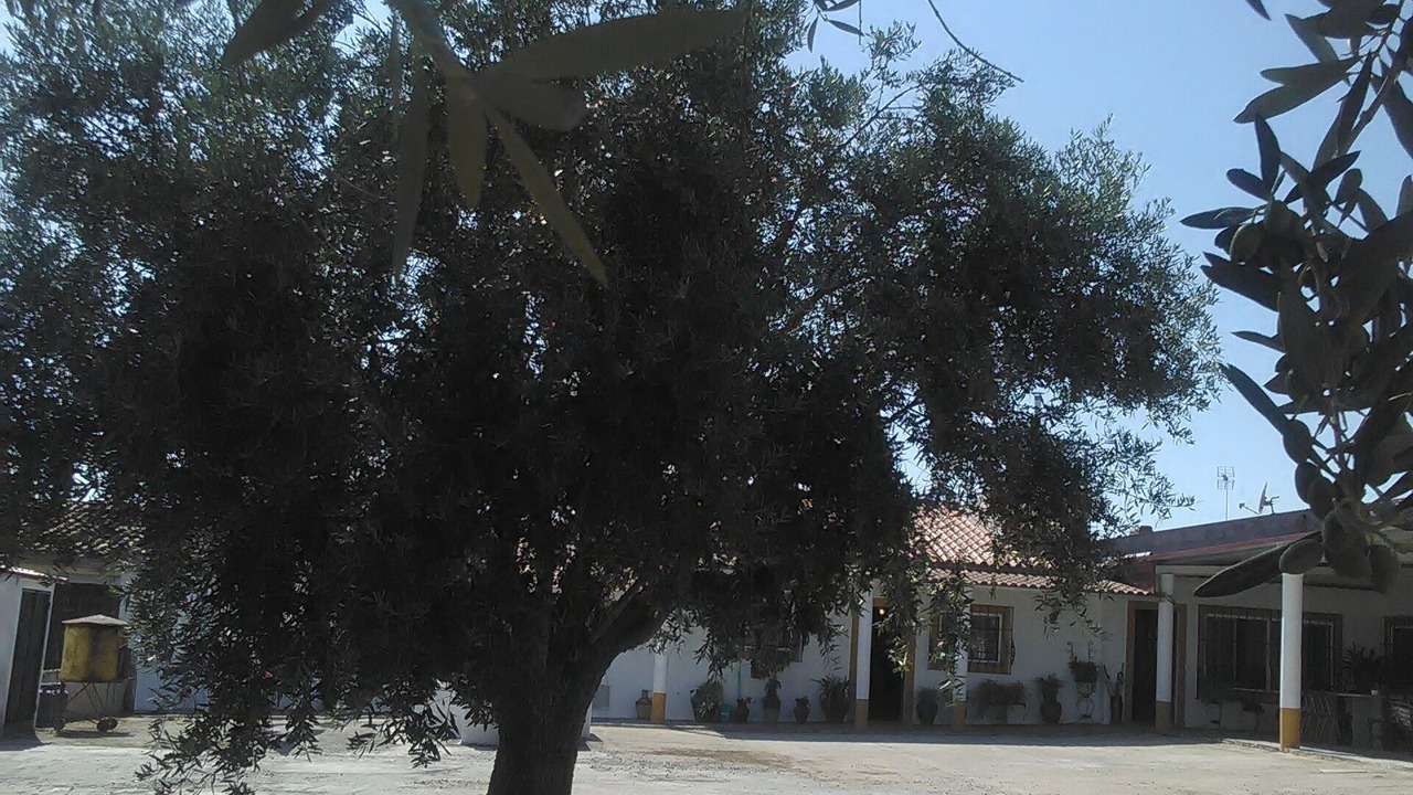Photo of Outdoor in Redondo