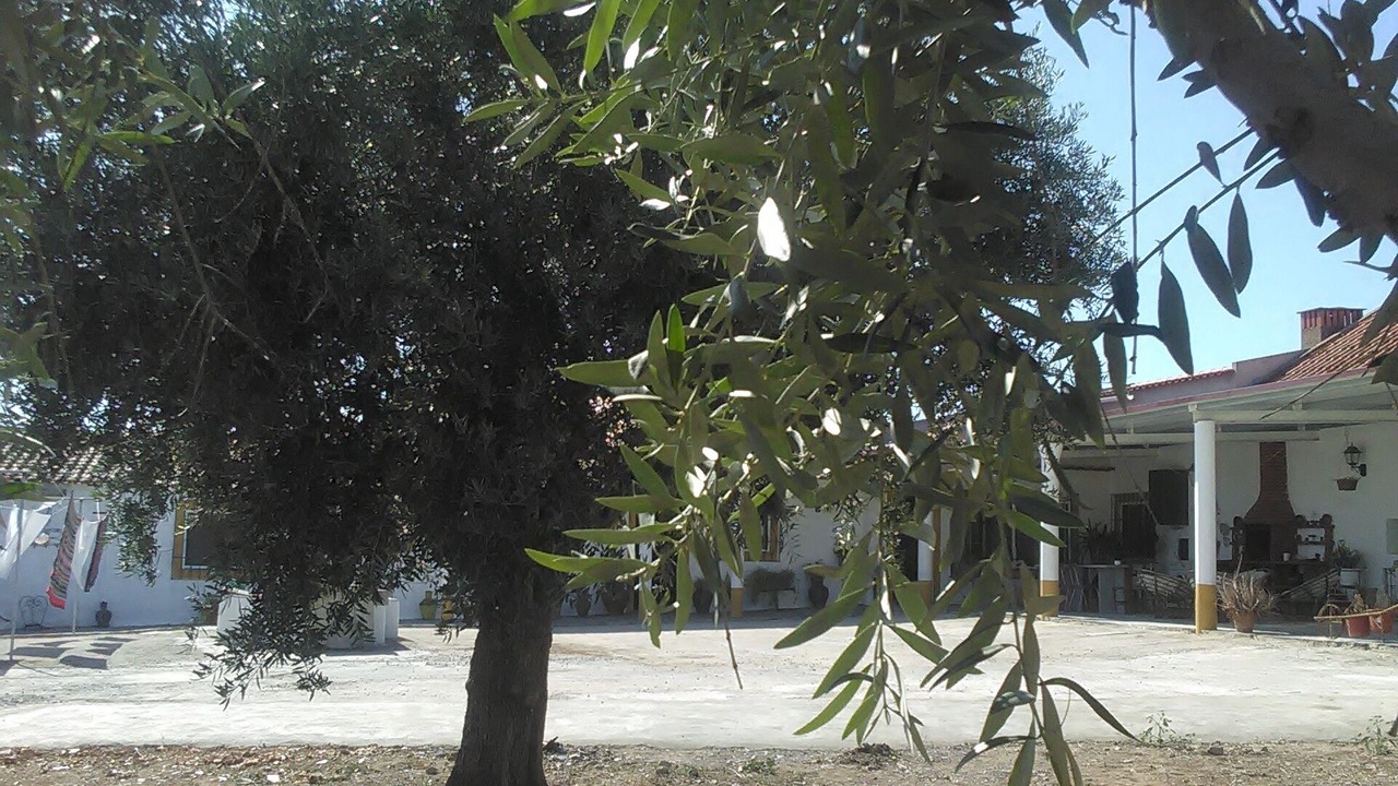 Photo of Outdoor in Redondo