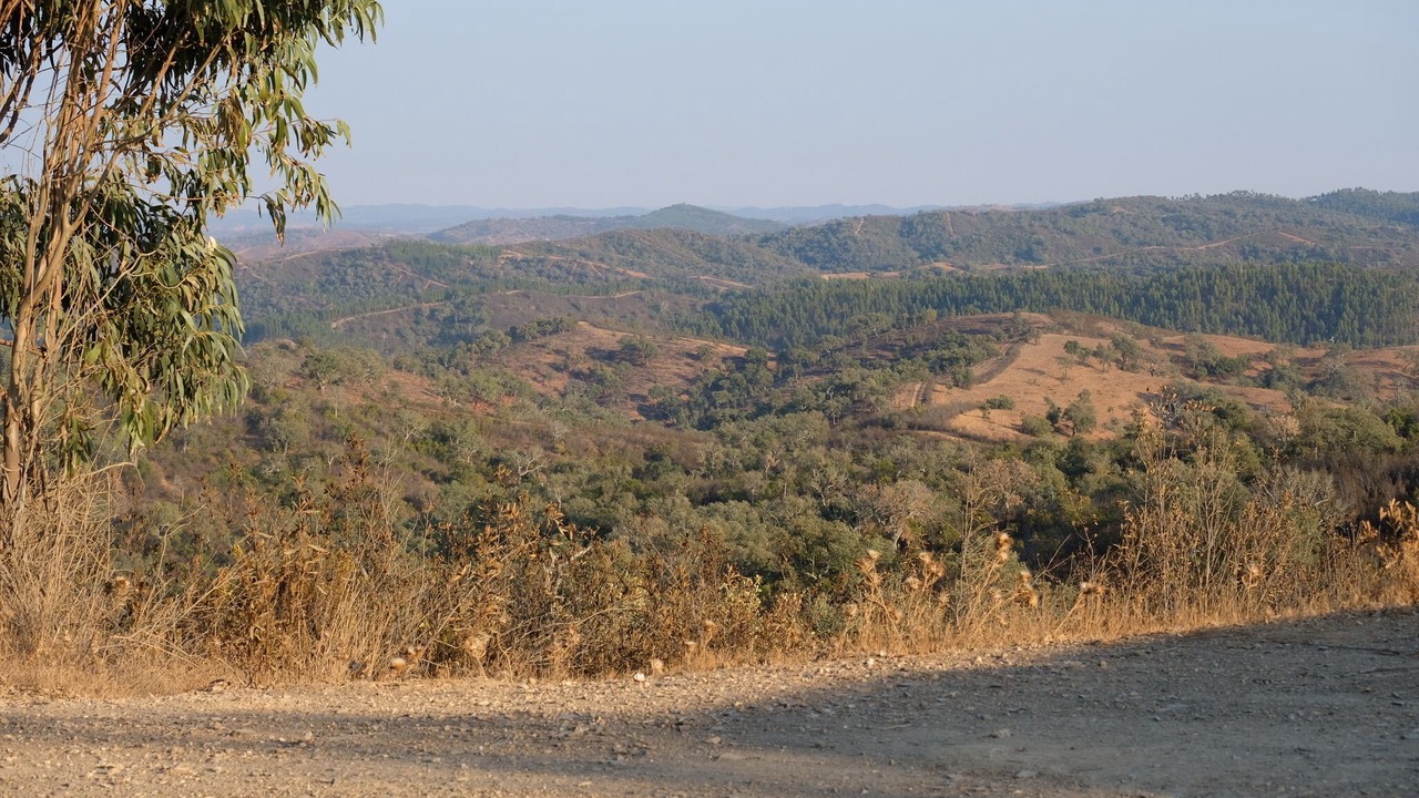 Photo of Others in Odemira