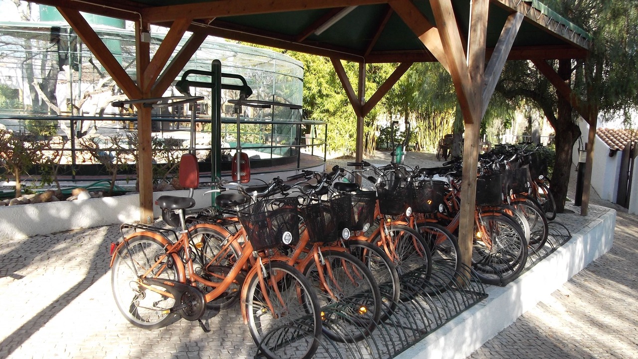 Photo of Outdoor in Santa Luzia
