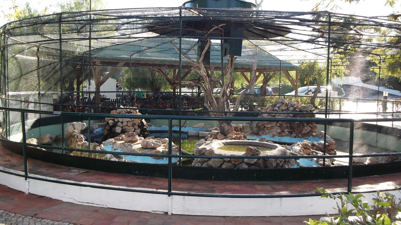 Photo of Outdoor in Santa Luzia