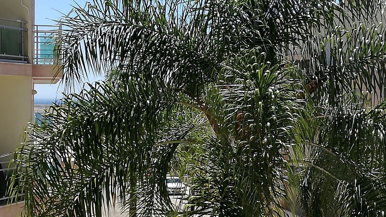 Photo of Outdoor in Sesimbra