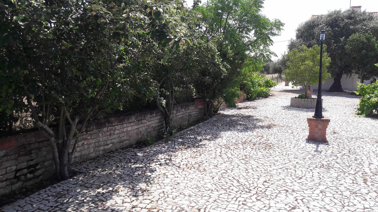 Photo of Outdoor in Vimieiro