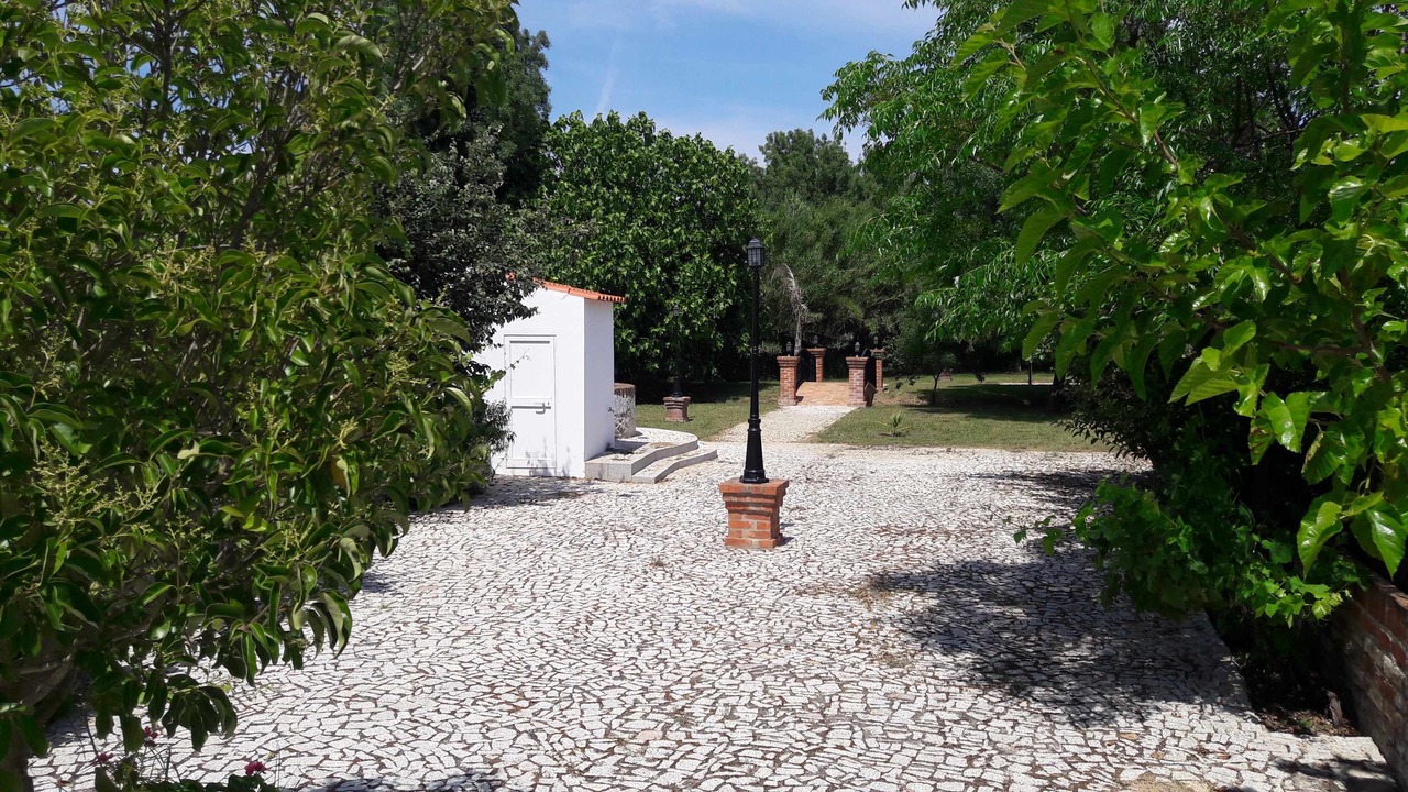 Photo of Outdoor in Vimieiro