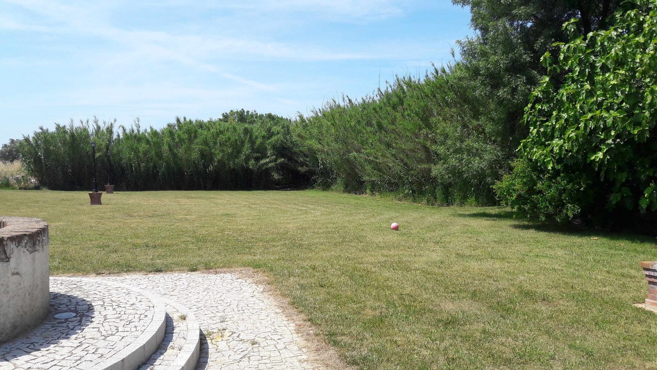 Photo of Outdoor in Vimieiro
