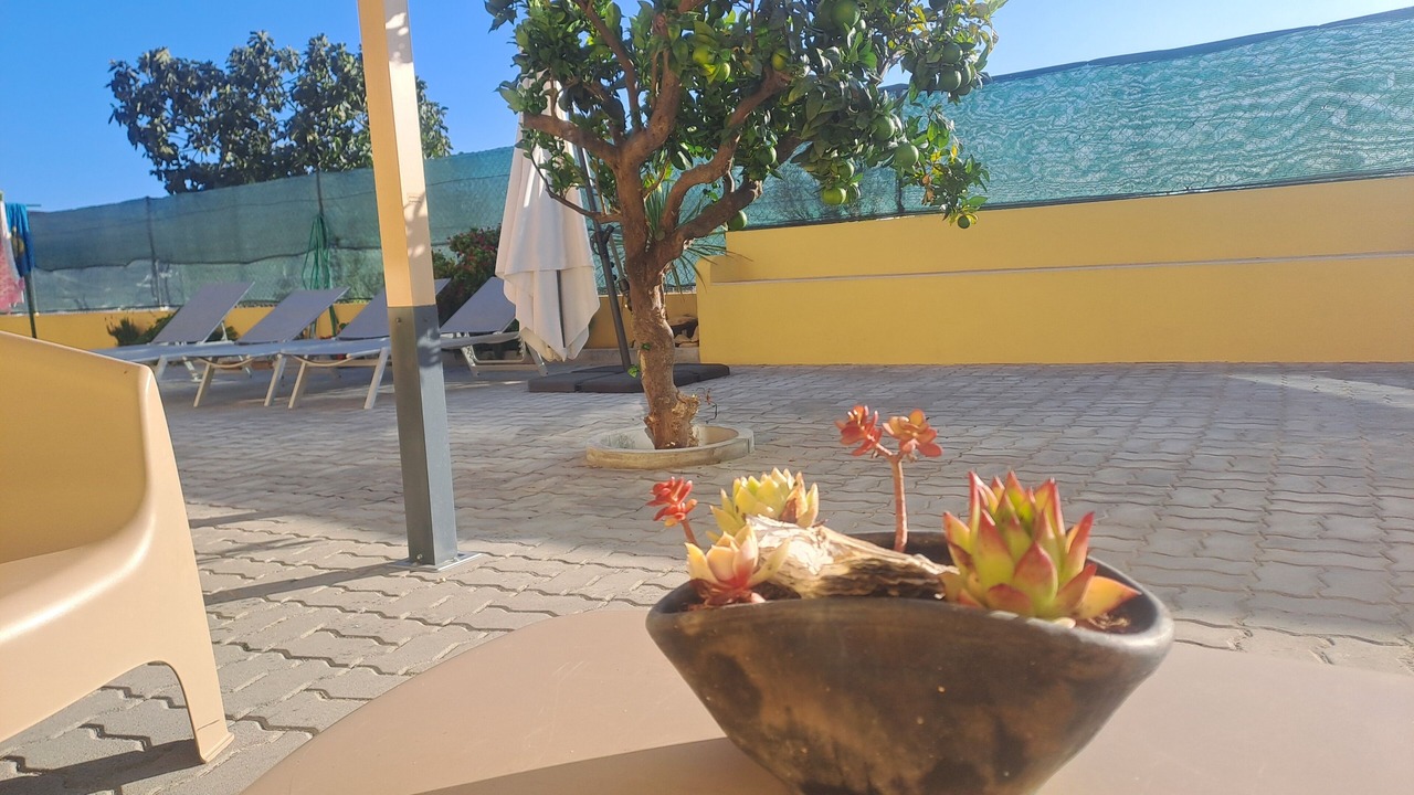 Photo of Patio Balcony in Montemor-o-Velho