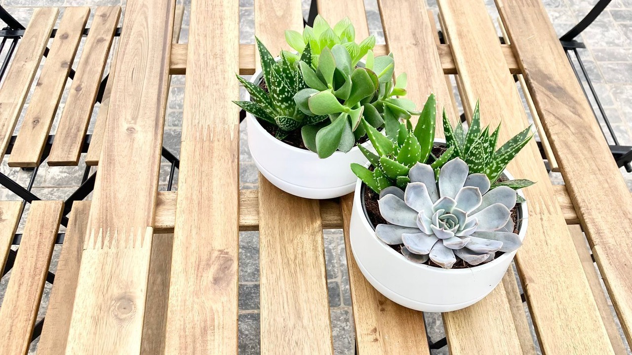 Photo of Outdoor in Se