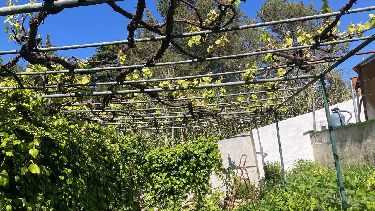 Photo of Outdoor in Galamares