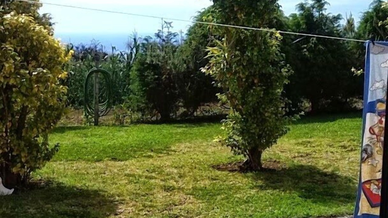 Photo of Outdoor in Ponta do Pargo