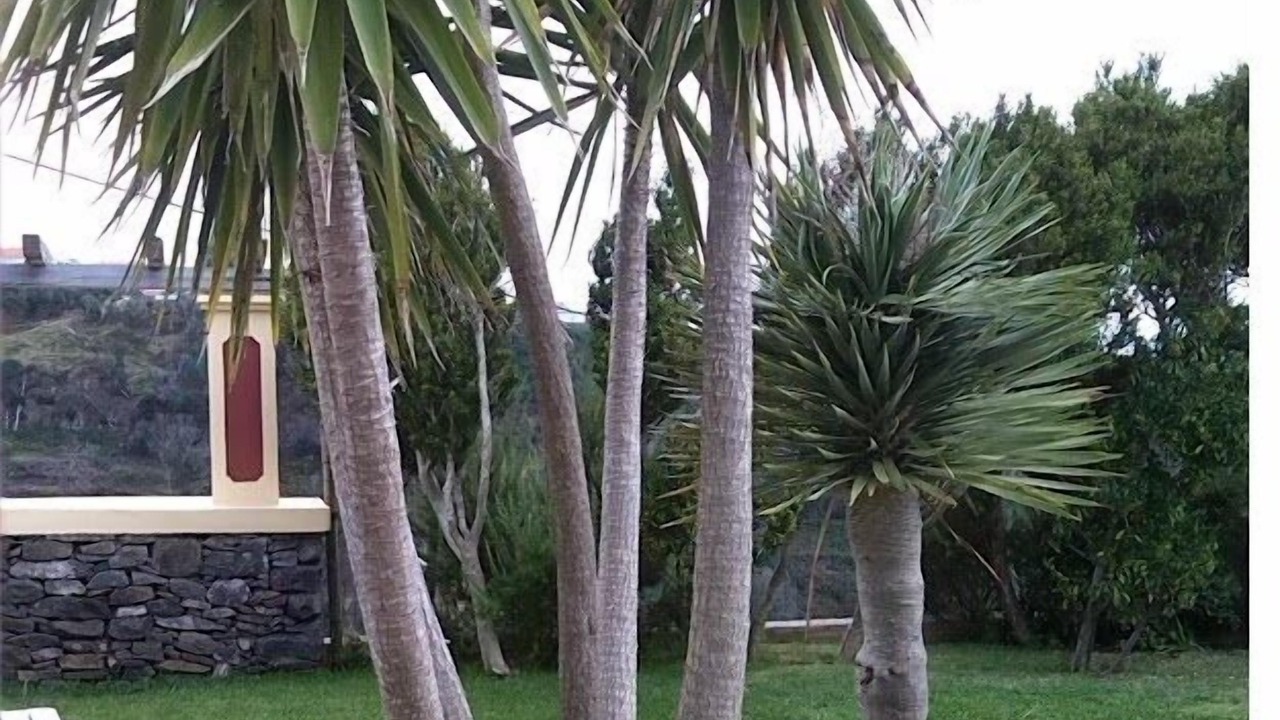 Photo of Outdoor in Ponta do Pargo