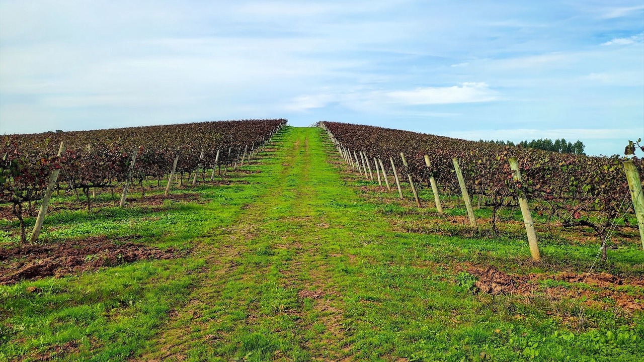 Photo of Others in Cadaval