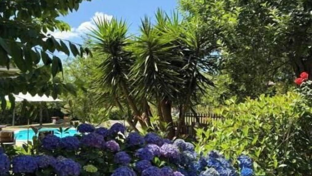 Photo of Outdoor in Beijos