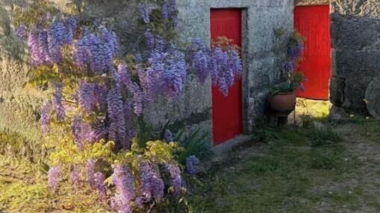 Photo of Outdoor in Beijos