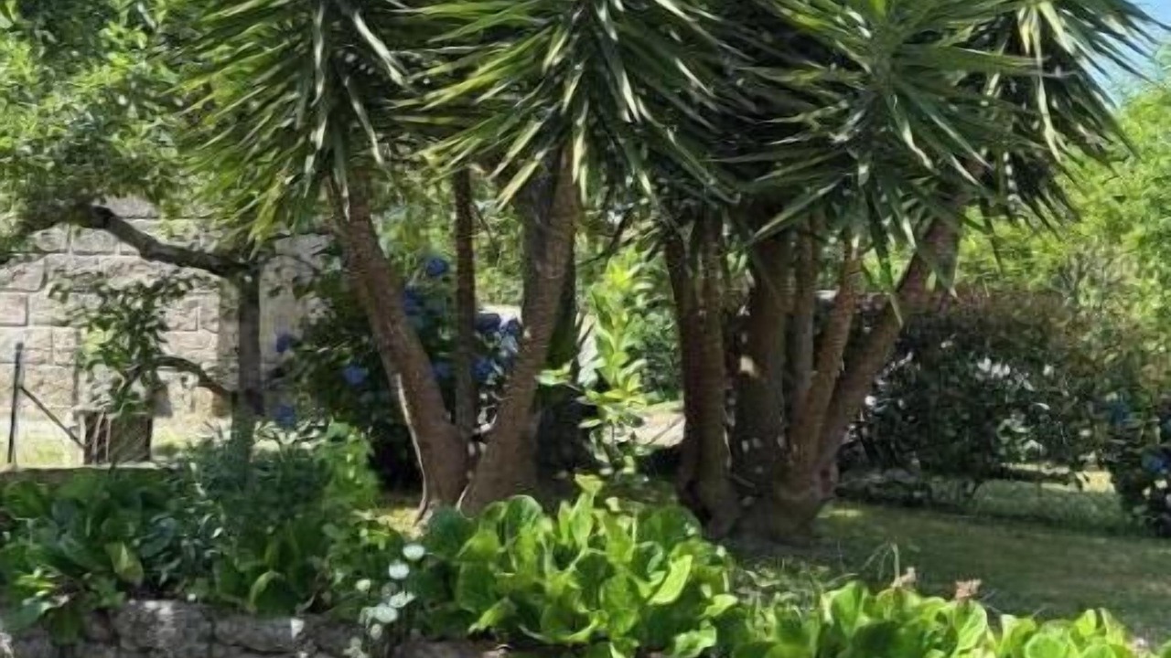 Photo of Outdoor in Beijos