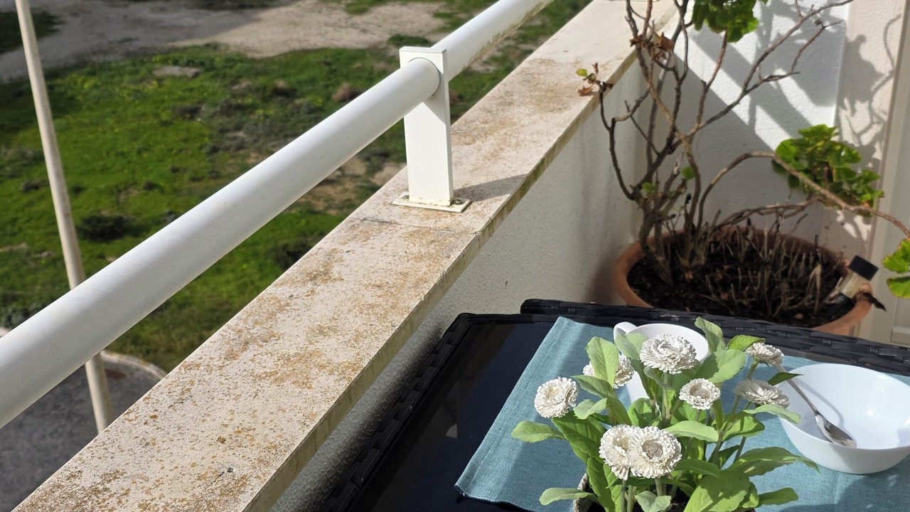 Photo of Others in Peniche