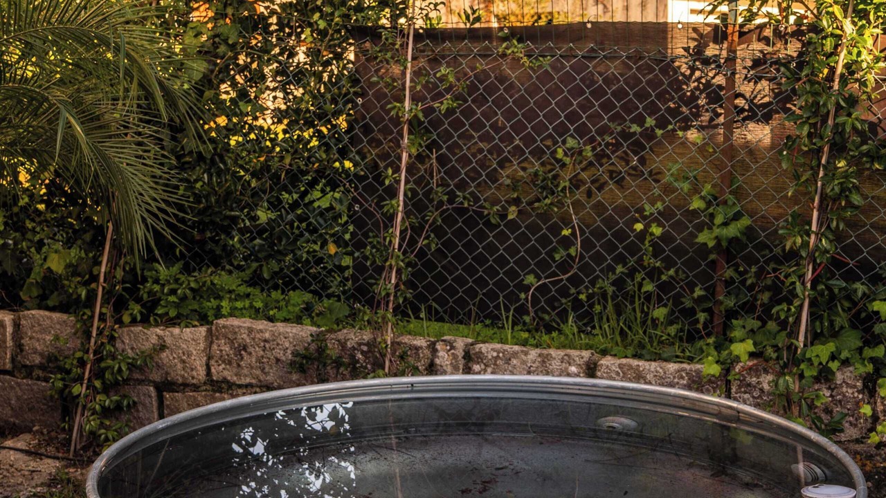 Photo of Outdoor in Viana do Castelo