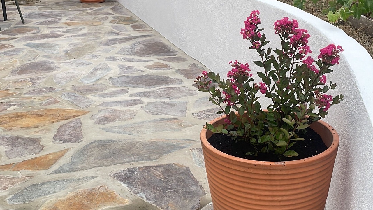 Photo of Outdoor in Miranda do Corvo