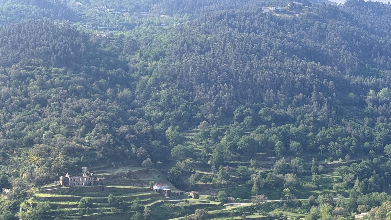 Photo of Others in Sardoeira