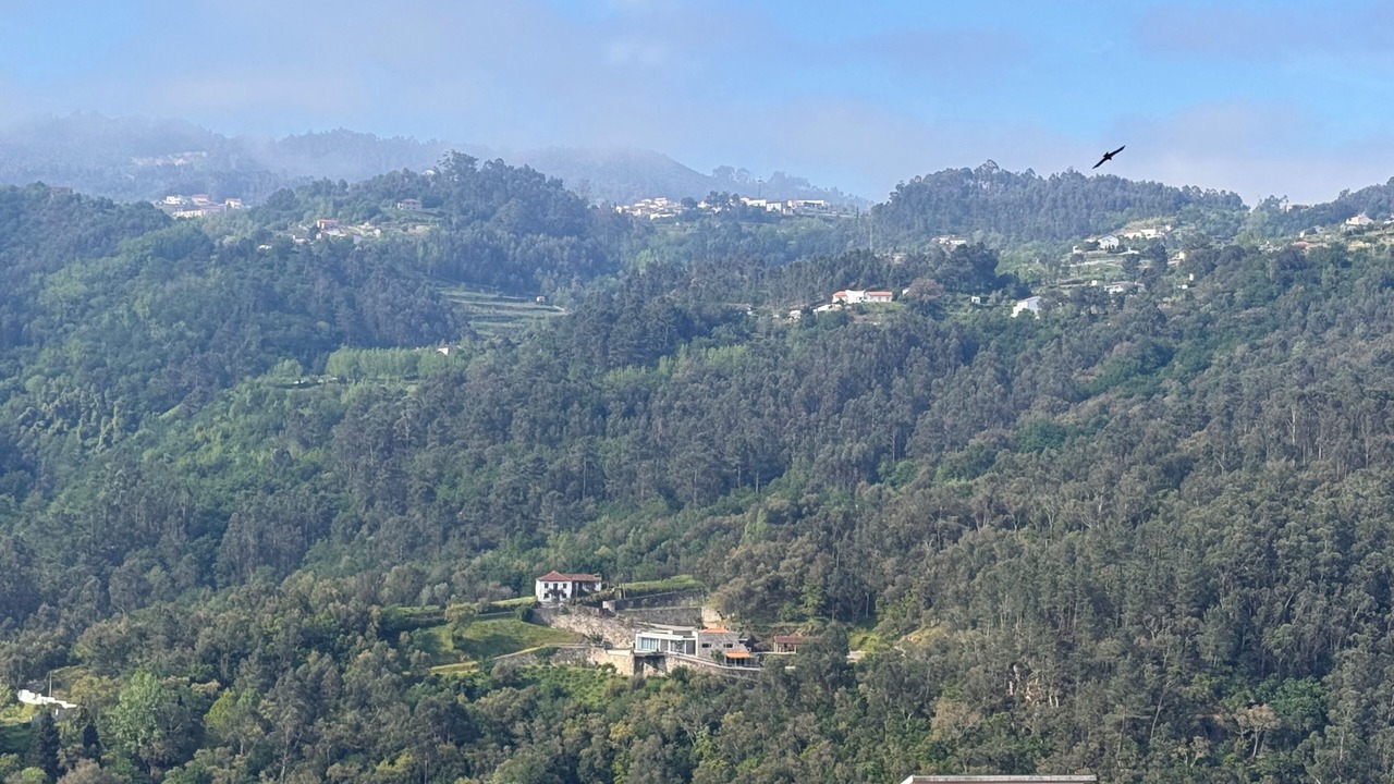 Photo of Others in Sardoeira