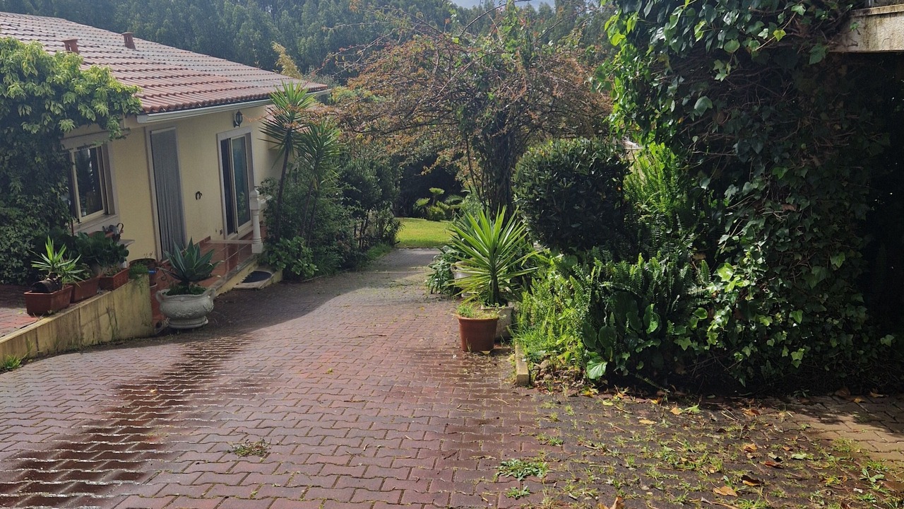 Photo of Outdoor in Caldas da Rainha