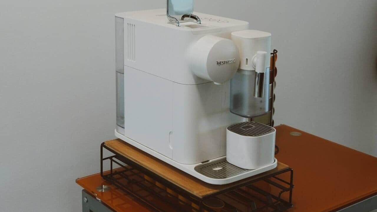 Photo of Others in Gaula