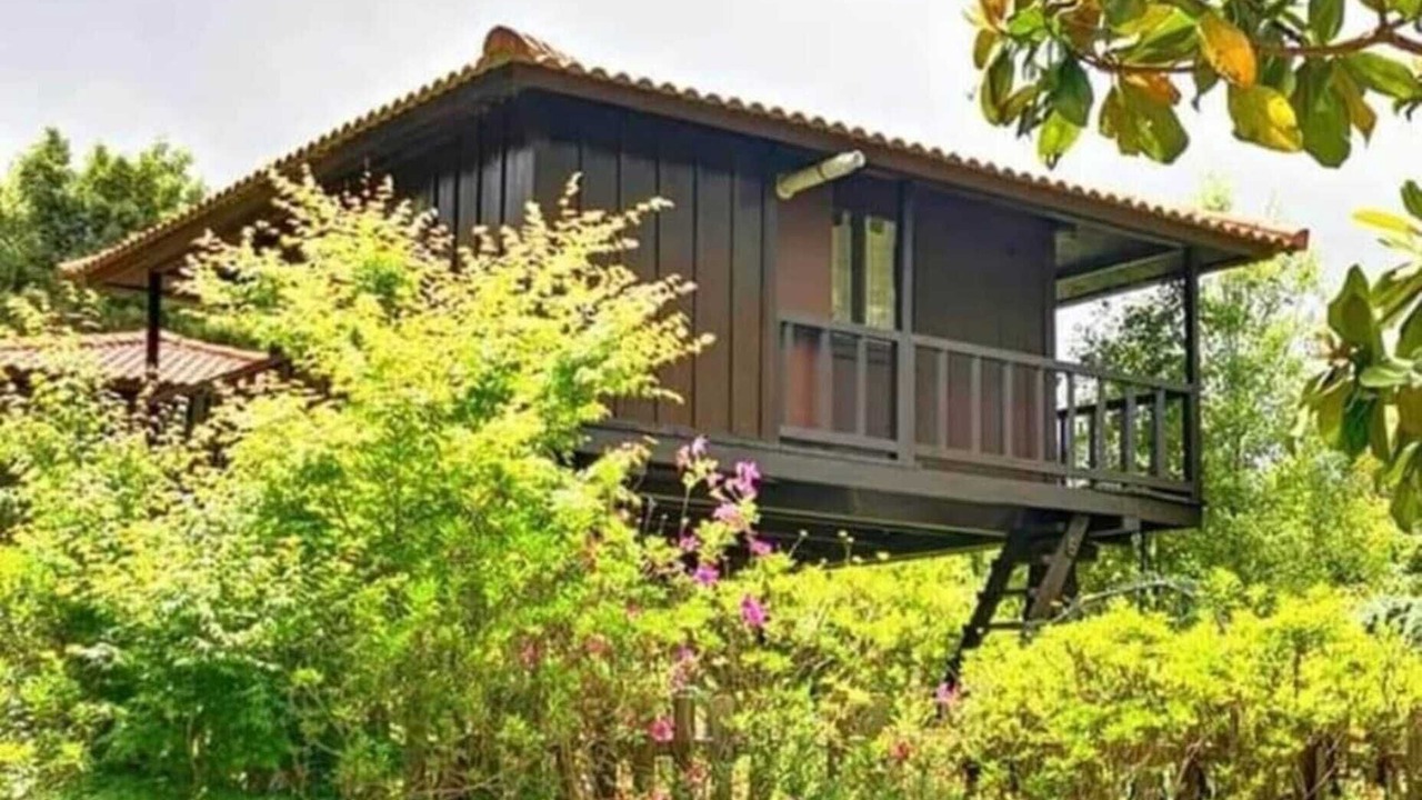 Photo of Outdoor in Santa Cruz