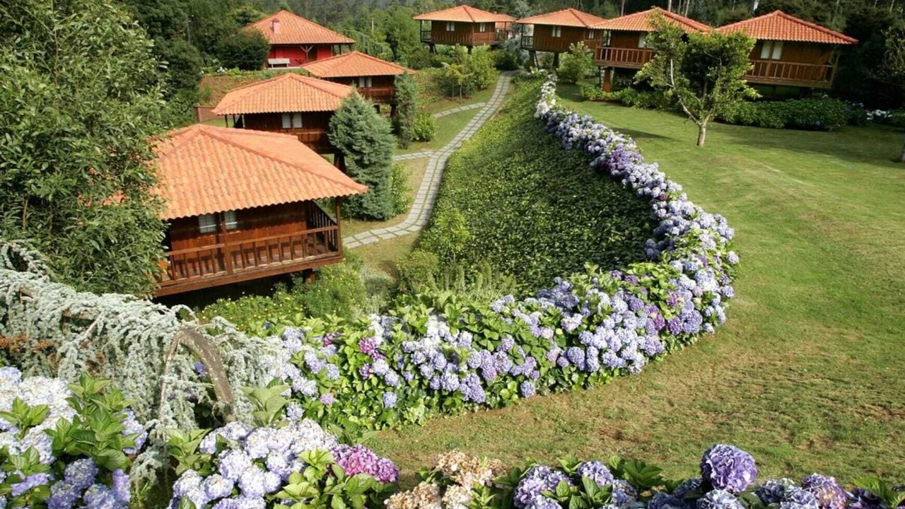 Photo of Outdoor in Santo da Serra