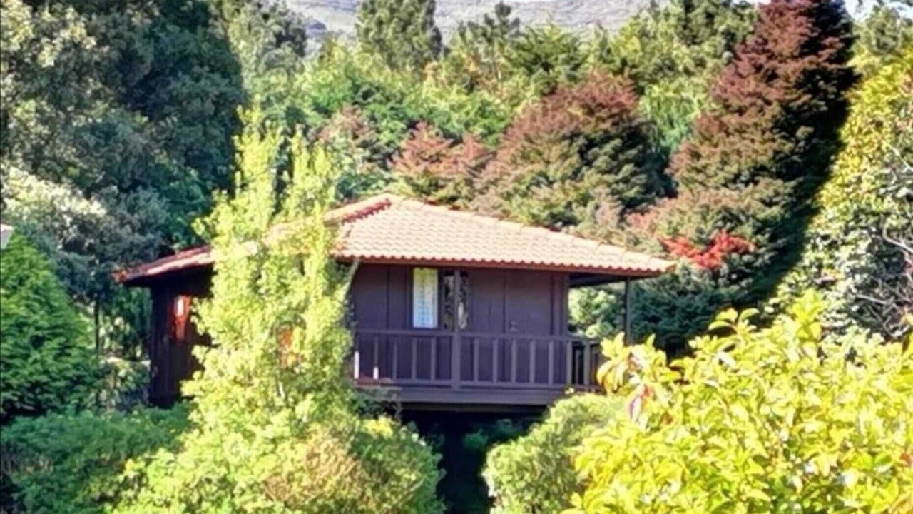 Photo of Outdoor in Santo da Serra