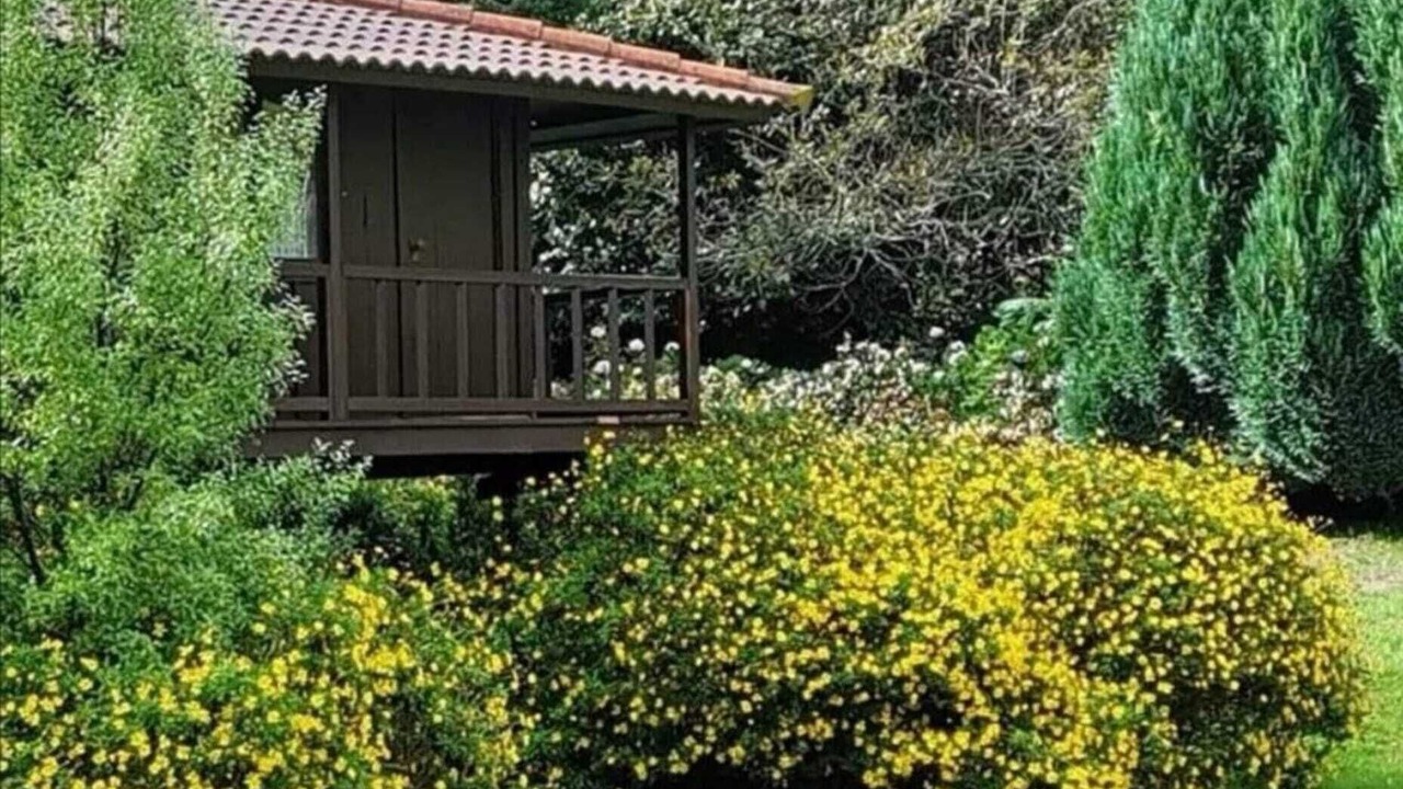 Photo of Outdoor in Santo da Serra