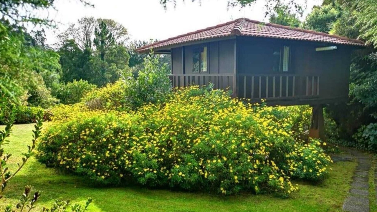 Photo of Outdoor in Santo da Serra