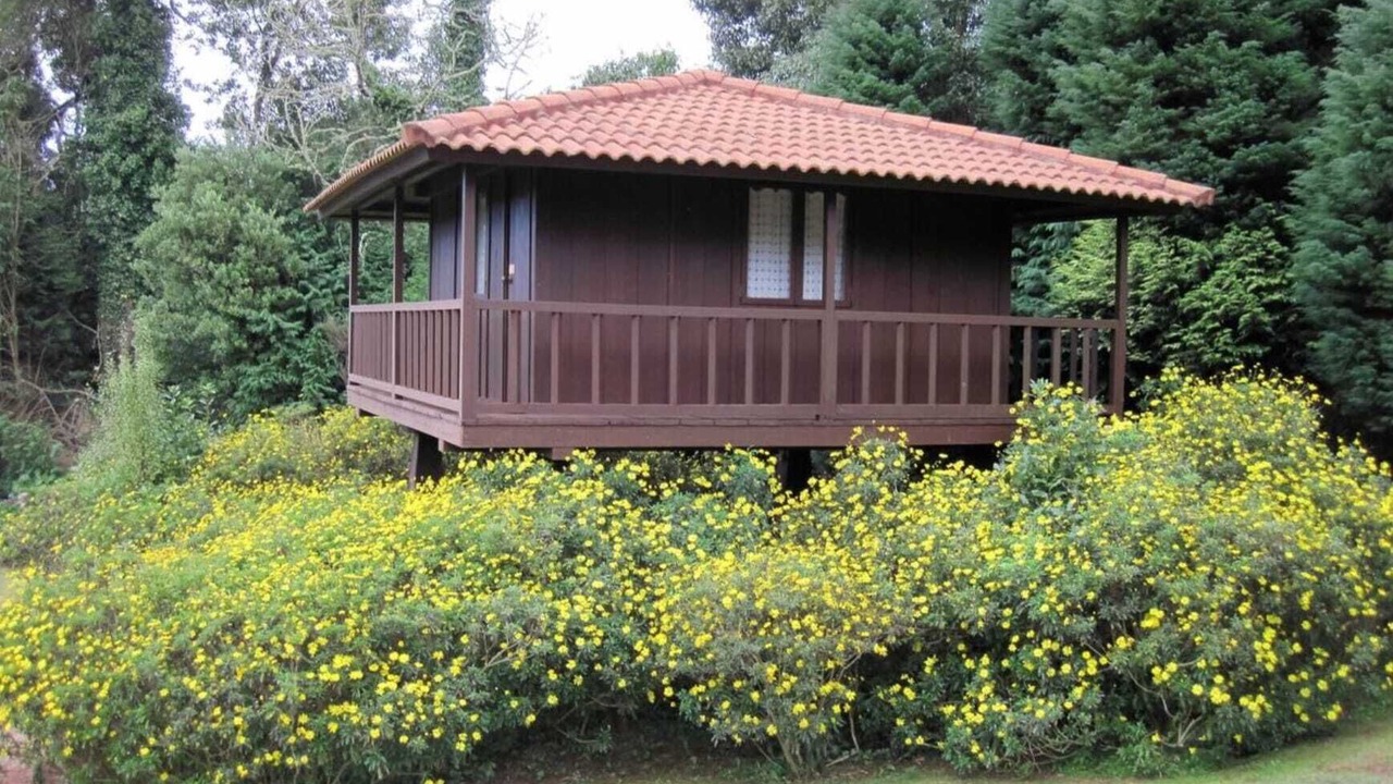 Photo of Outdoor in Santo da Serra