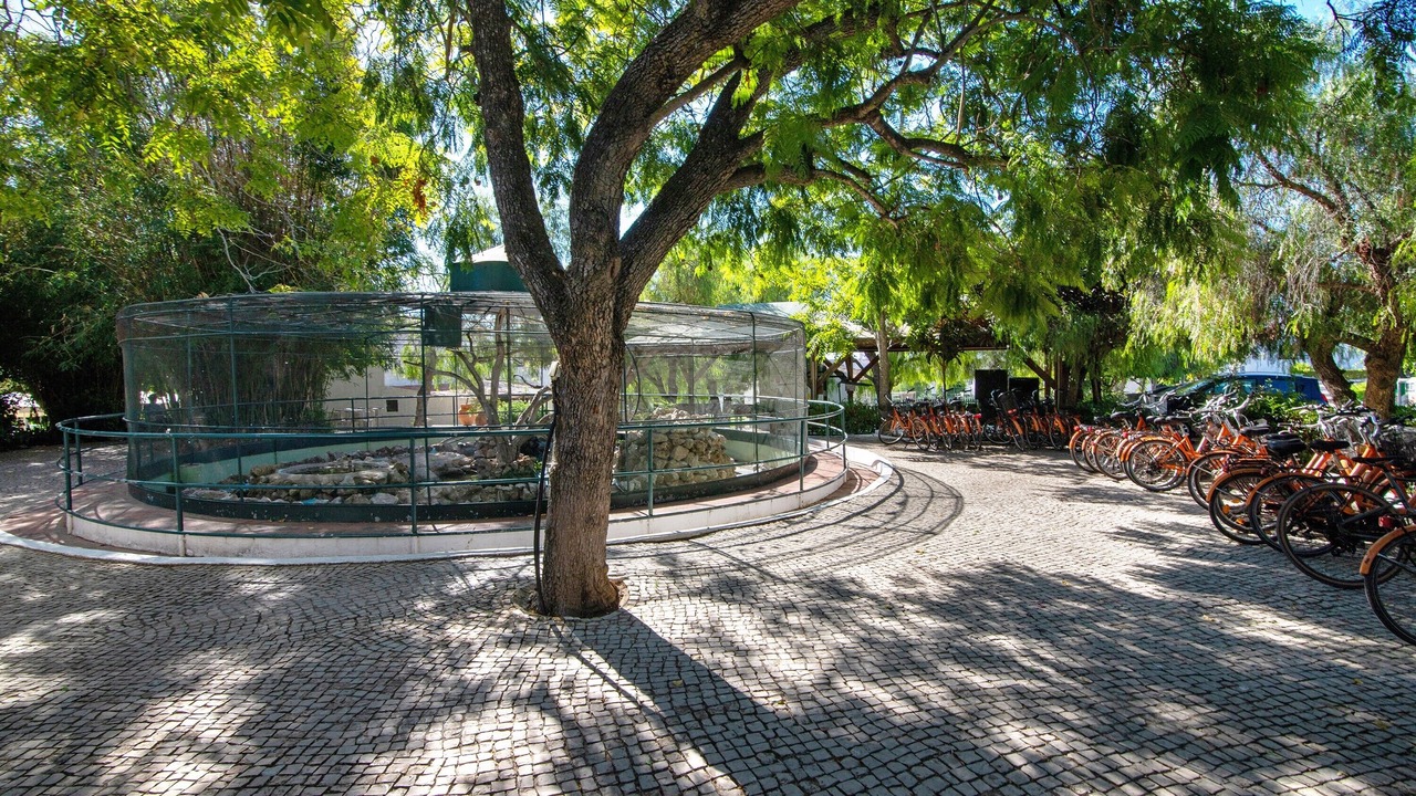 Photo of Outdoor in Santa Luzia