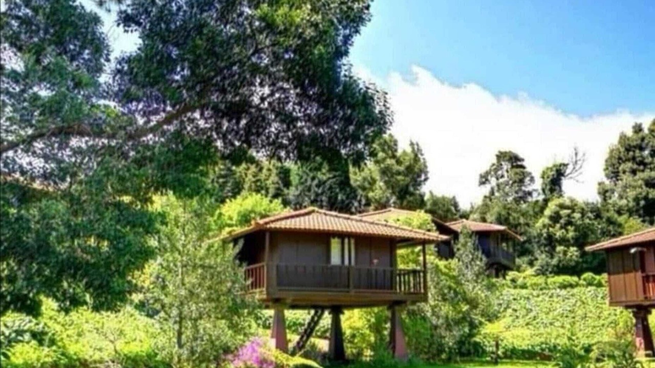 Photo of Outdoor in Santa Cruz