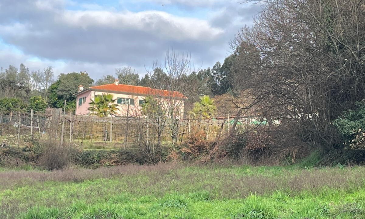 Photo of Others in Vila Verde