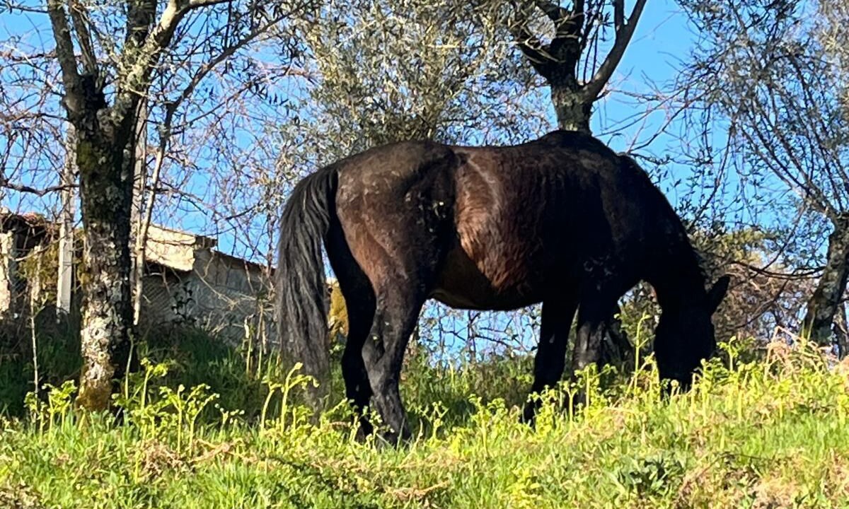 Photo of Others in Vila Verde